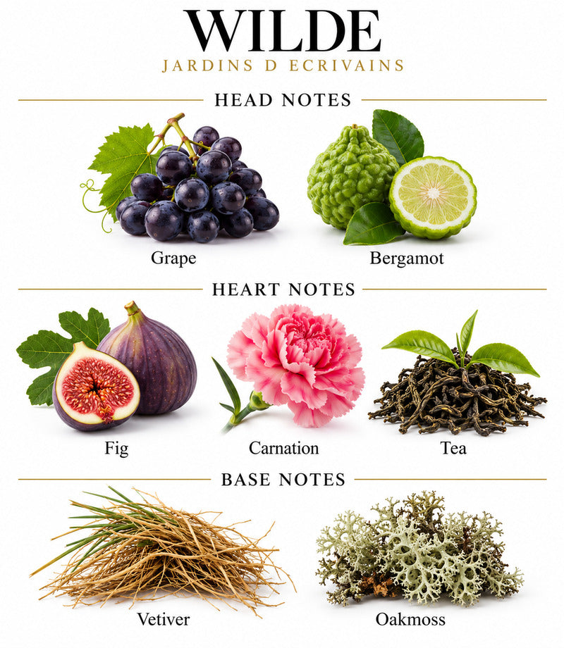 Wilde by Jardins d’Écrivains complete illustrated fragrance notes