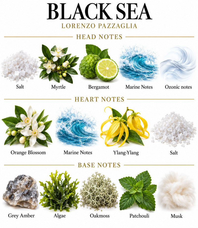 Black Sea by LORENZO PAZZAGLIA complete illustrated fragrance notes