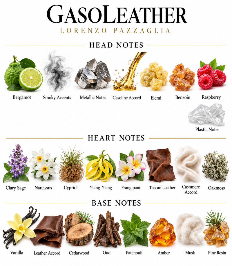 Gasoleather by LORENZO PAZZAGLIA complete illustrated fragrance notes