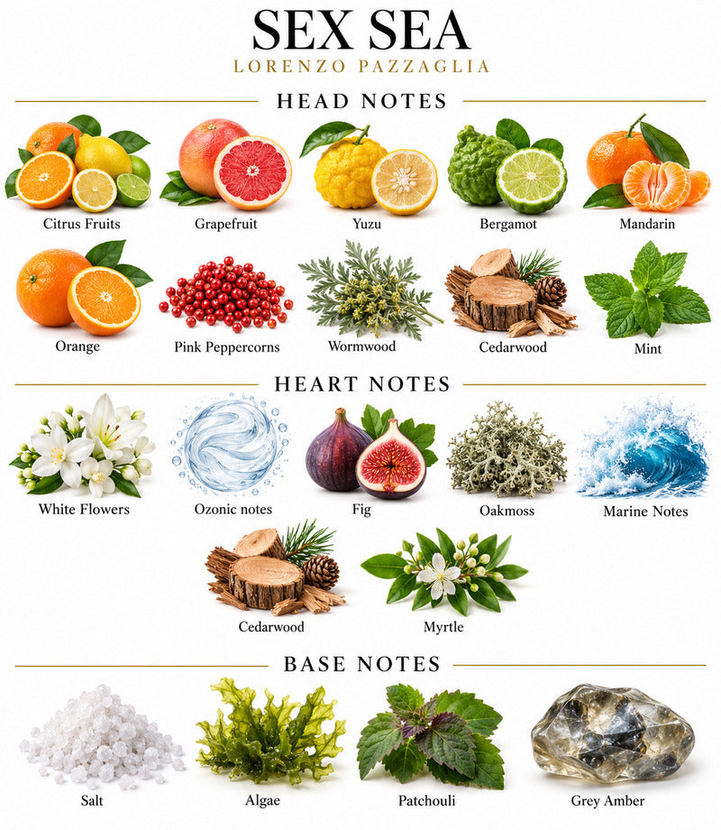 Sex Sea by LORENZO PAZZAGLIA complete illustrated fragrance notes
