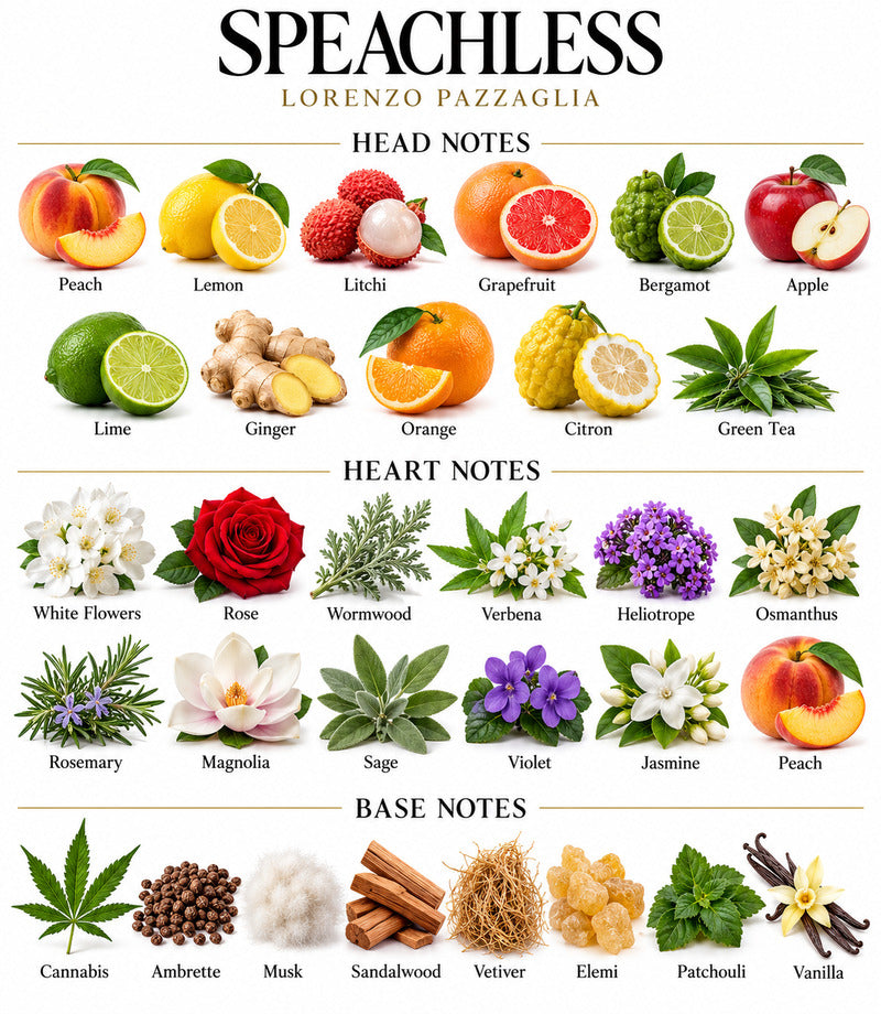 Speachless by LORENZO PAZZAGLIA complete illustrated fragrance notes