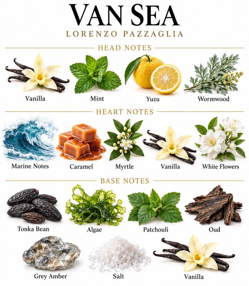 Van Sea by LORENZO PAZZAGLIA complete illustrated fragrance notes