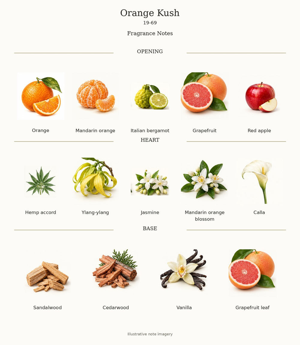 NINETEEN SIXTY NINE 19-69 ORANGE KUSH — complete verified fragrance notes