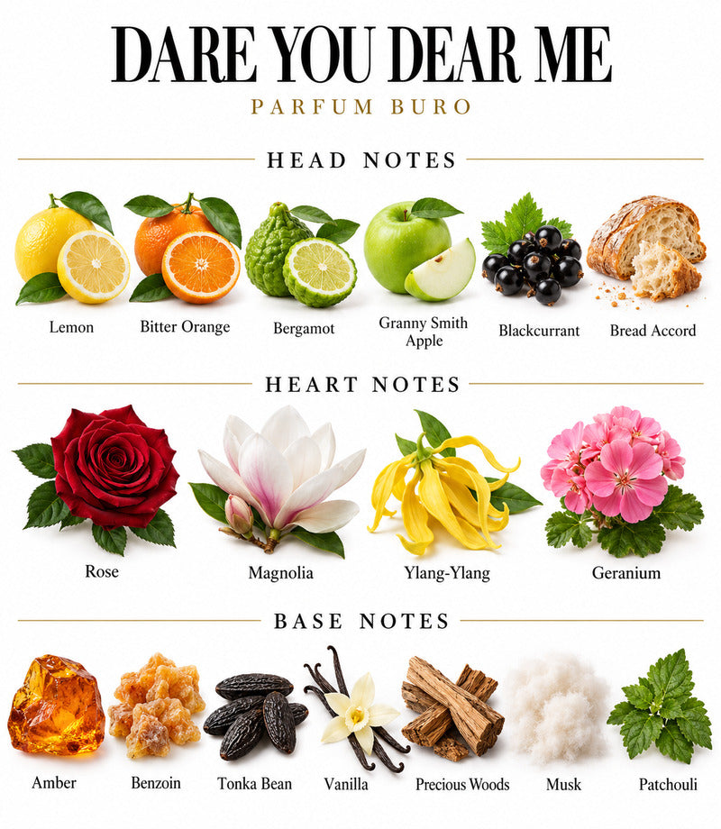 DARE YOU DEAR ME by PARFUM BURO complete illustrated fragrance notes
