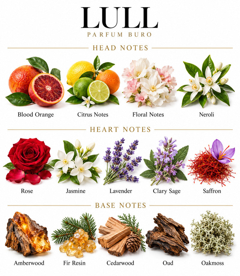 LULL by PARFUM BURO complete illustrated fragrance notes