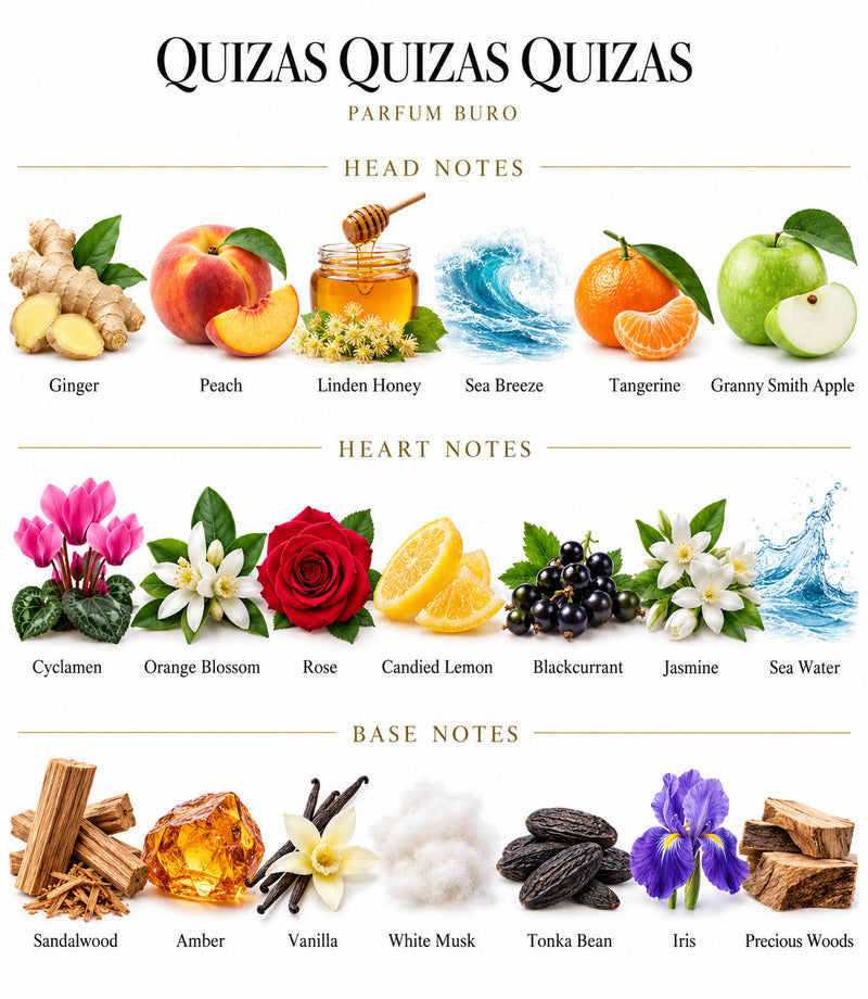QUIZAS QUIZAS QUIZAS by PARFUM BURO complete illustrated fragrance notes