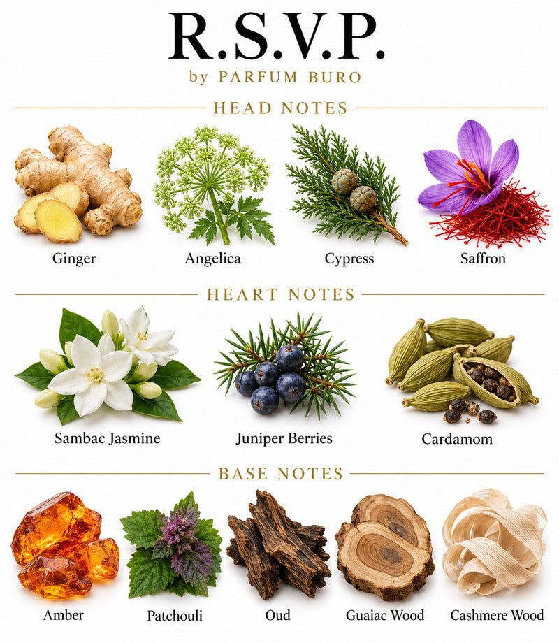 R.S.V.P. by PARFUM BURO complete illustrated fragrance notes