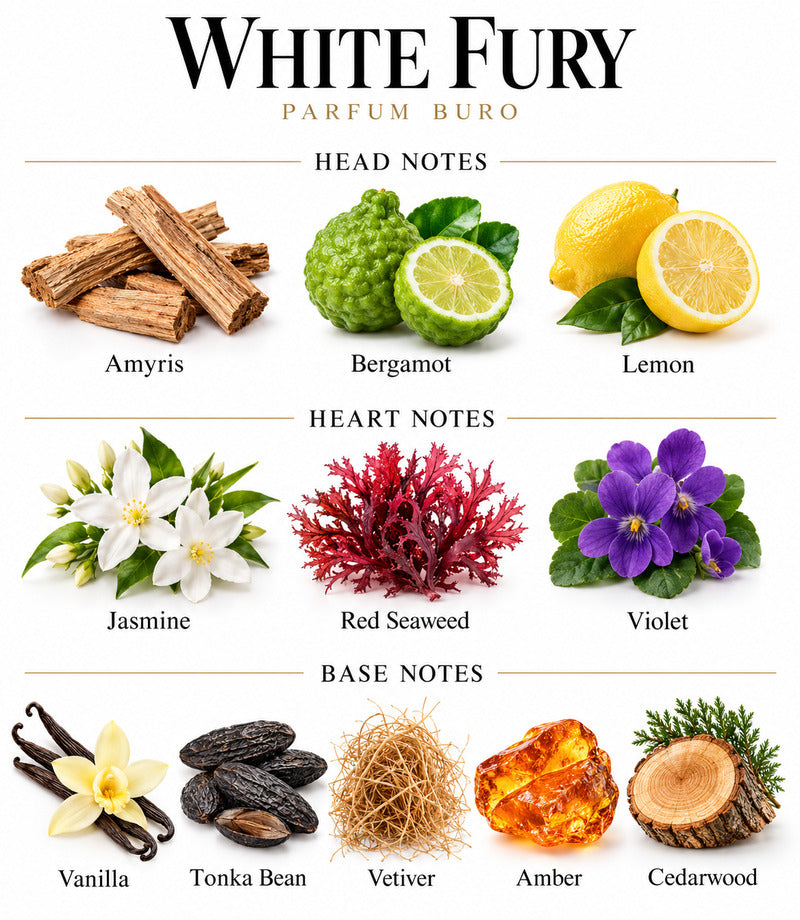 WHITE FURY by PARFUM BURO complete illustrated fragrance notes