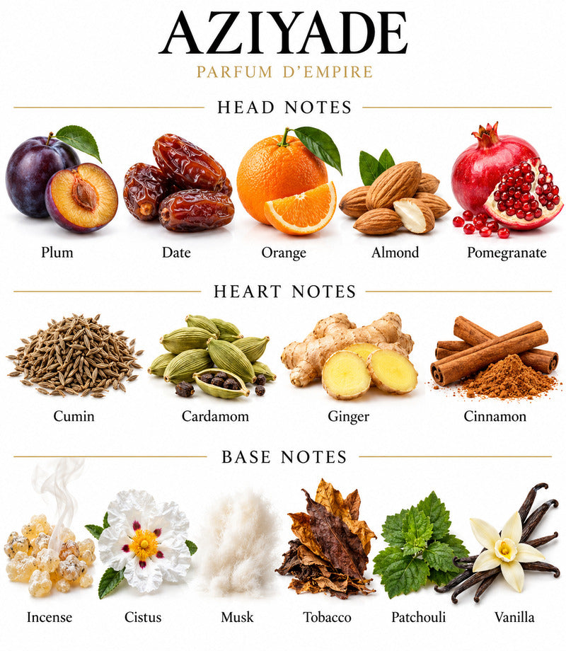 AZIYADE by PARFUM D'EMPIRE complete illustrated fragrance notes