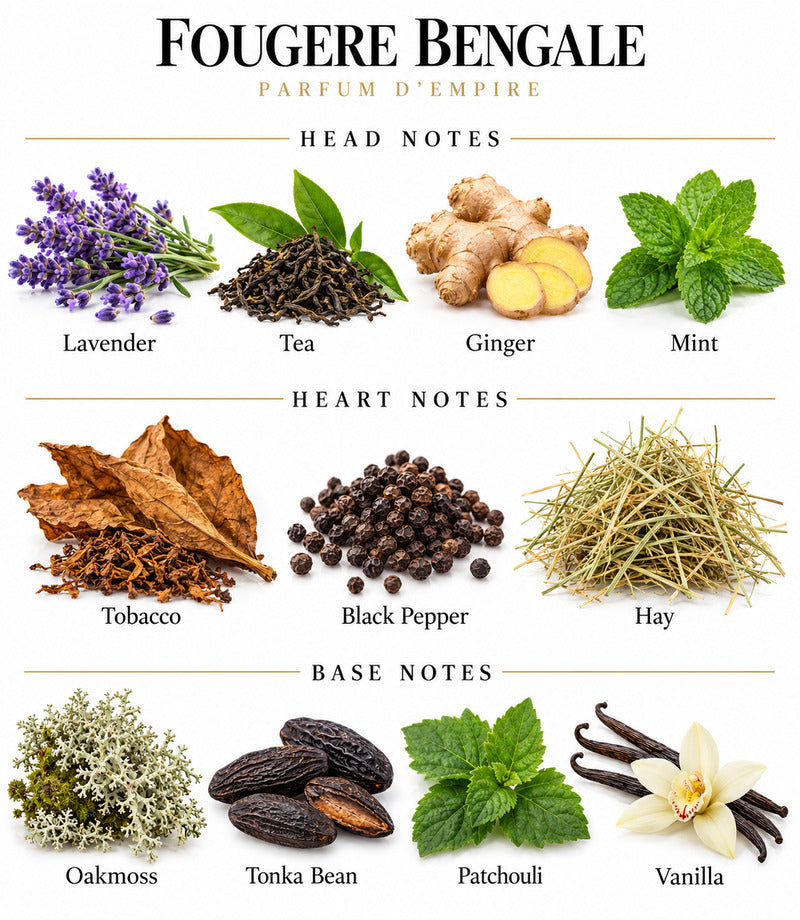 FOUGERE BENGALE by PARFUM D'EMPIRE complete illustrated fragrance notes
