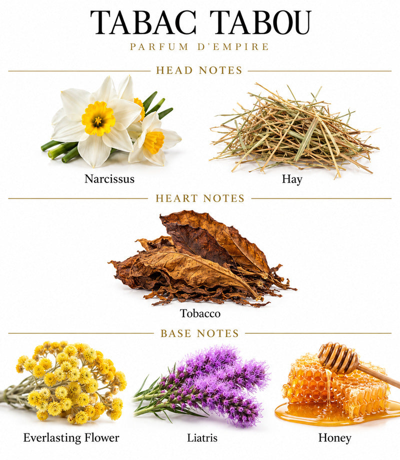 TABAC TABOU by PARFUM D'EMPIRE complete illustrated fragrance notes