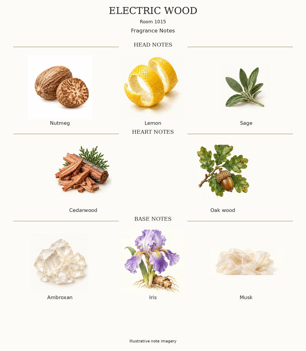 Electric Wood complete illustrated opening, heart and base fragrance notes