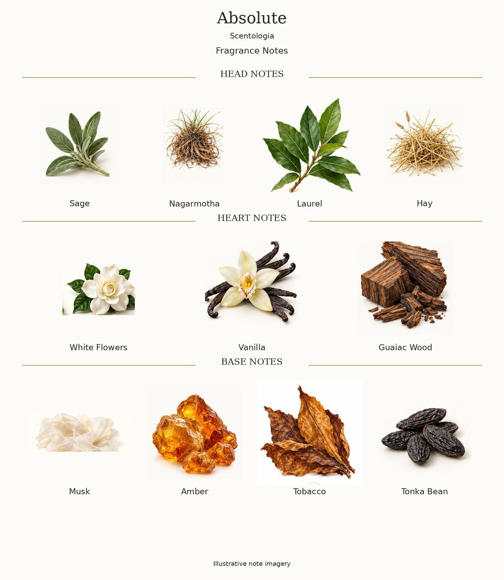 Absolute by Scentologia — complete illustrated fragrance notes
