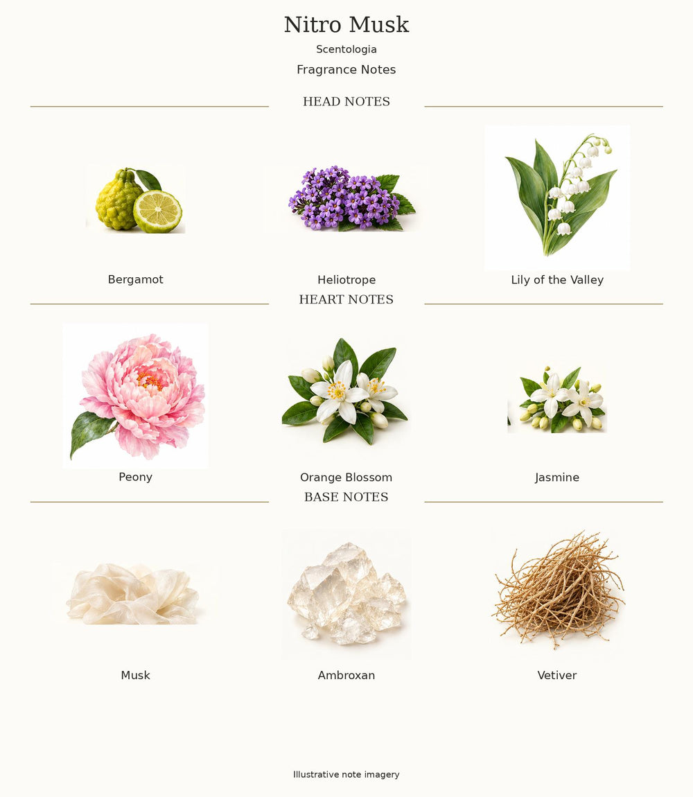 Nitro Musk by Scentologia — complete illustrated fragrance notes