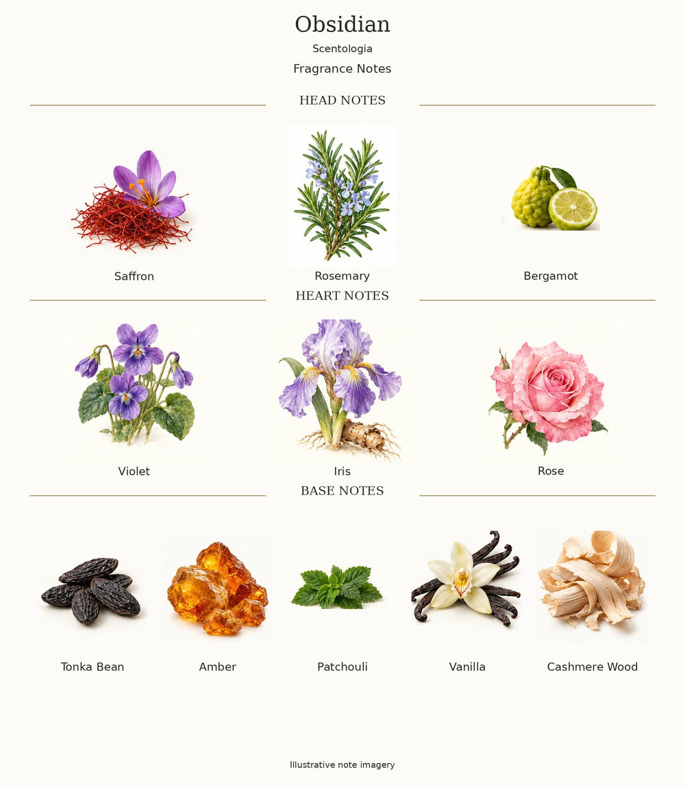 Obsidian by Scentologia — complete illustrated fragrance notes