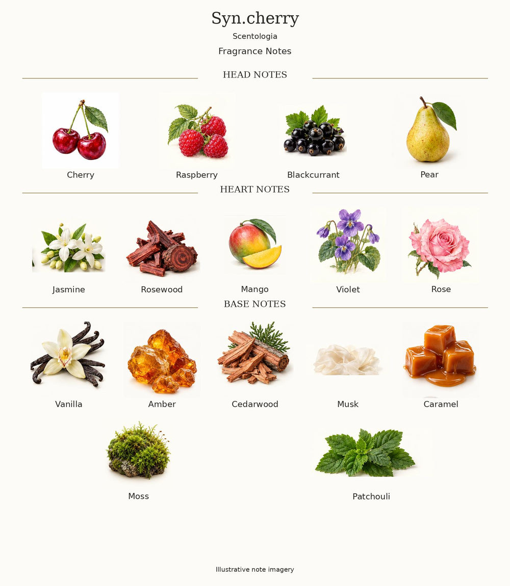 Syn.cherry by Scentologia — complete illustrated fragrance notes