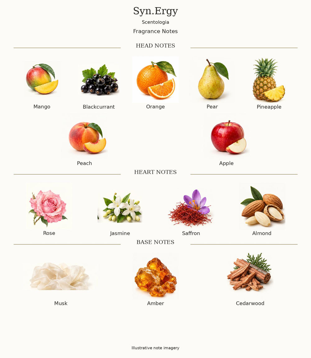 Syn.Ergy by Scentologia — complete illustrated fragrance notes