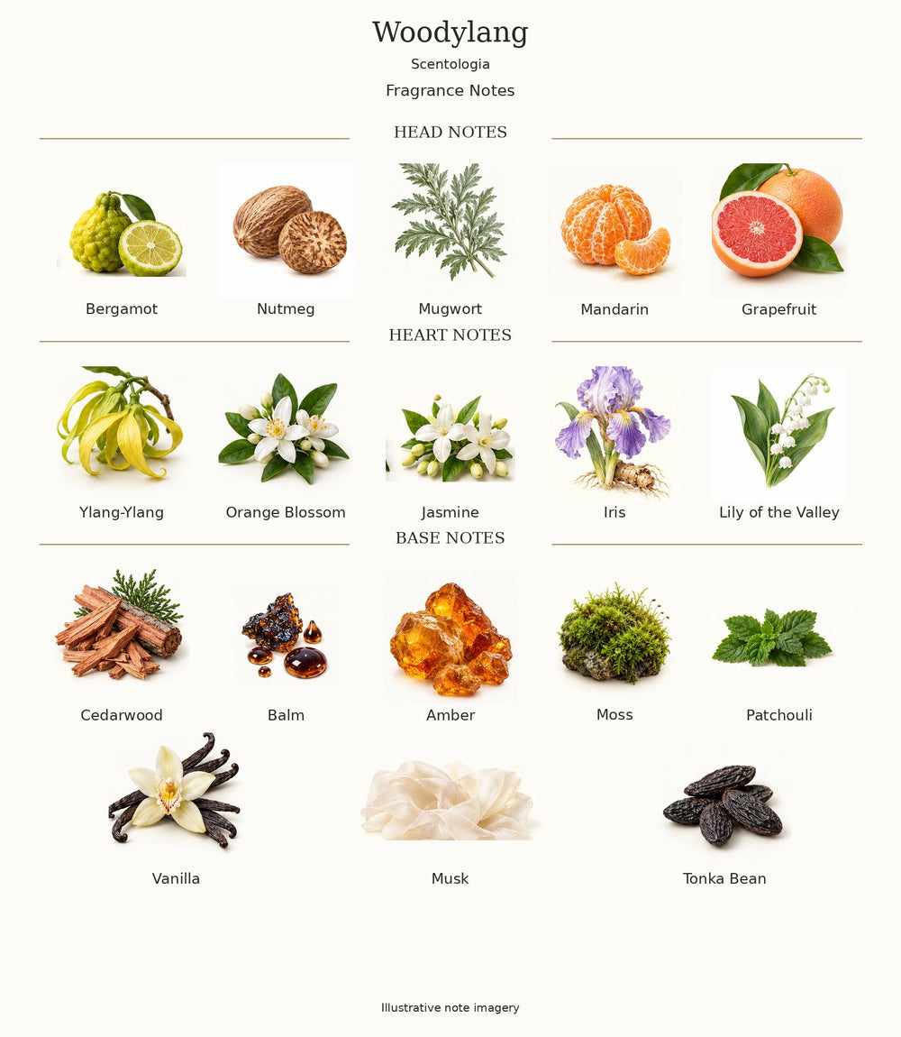 Woodylang by Scentologia — complete illustrated fragrance notes
