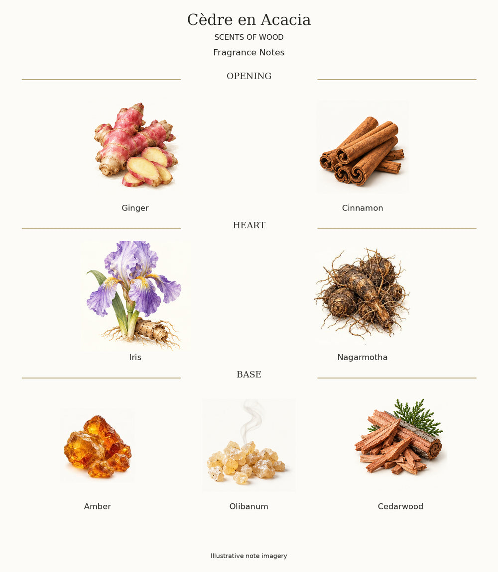 Complete fragrance notes for Cèdre en Acacia: Opening: Ginger, Cinnamon; Heart: Iris, Nagarmotha; Base: Amber, Olibanum, Cedarwood