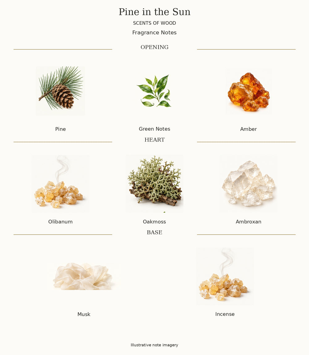 Complete fragrance notes for Pine in the Sun: Opening: Pine, Green Notes, Amber; Heart: Olibanum, Oakmoss, Ambroxan; Base: Musk, Incense