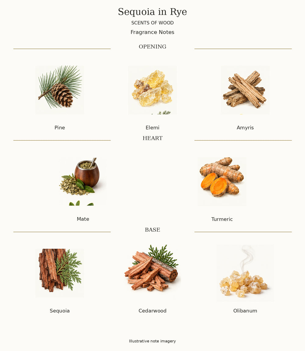 Complete fragrance notes for Sequoia in Rye: Opening: Pine, Elemi, Amyris; Heart: Mate, Turmeric; Base: Sequoia, Cedarwood, Olibanum