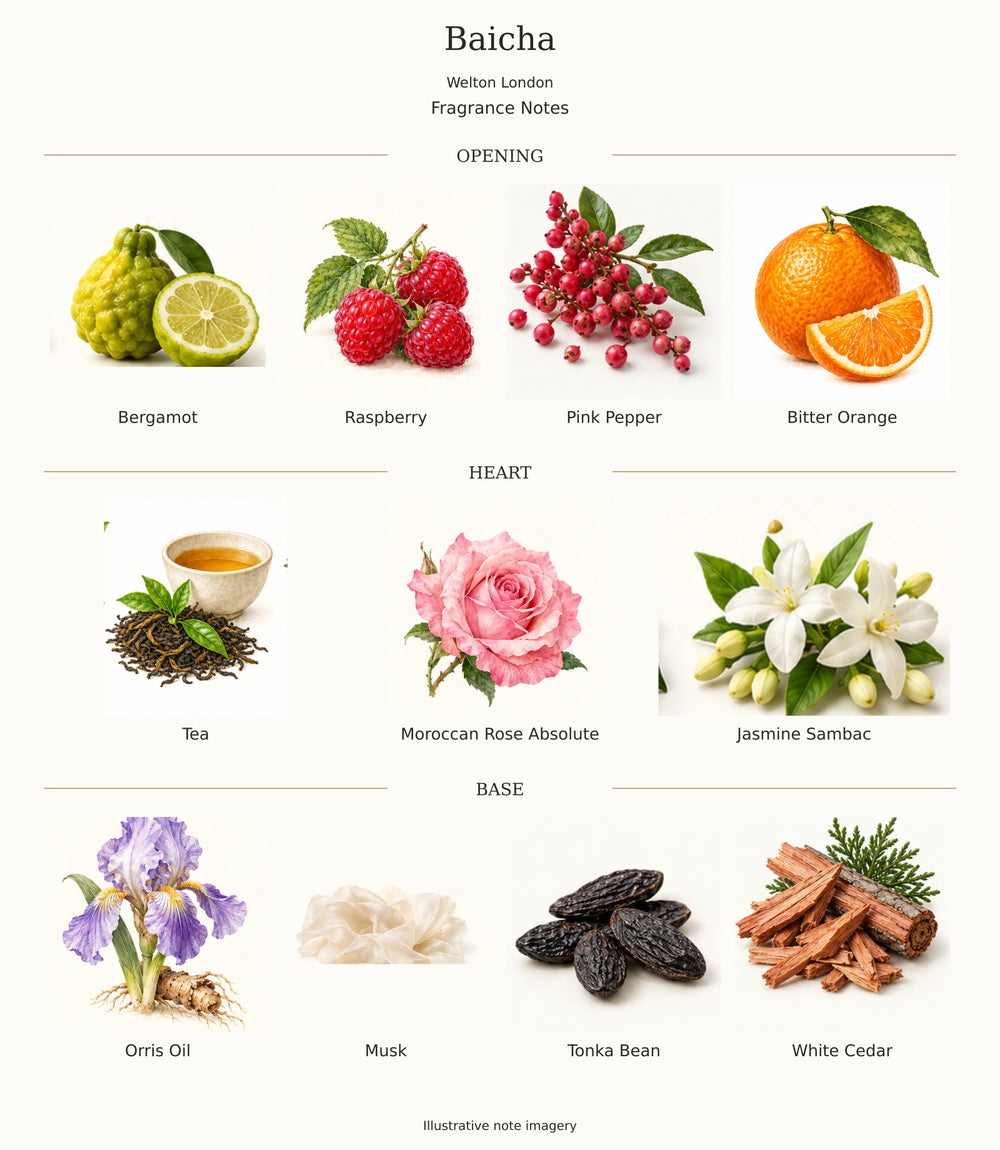 Baicha by Welton London — complete opening, heart and base notes
