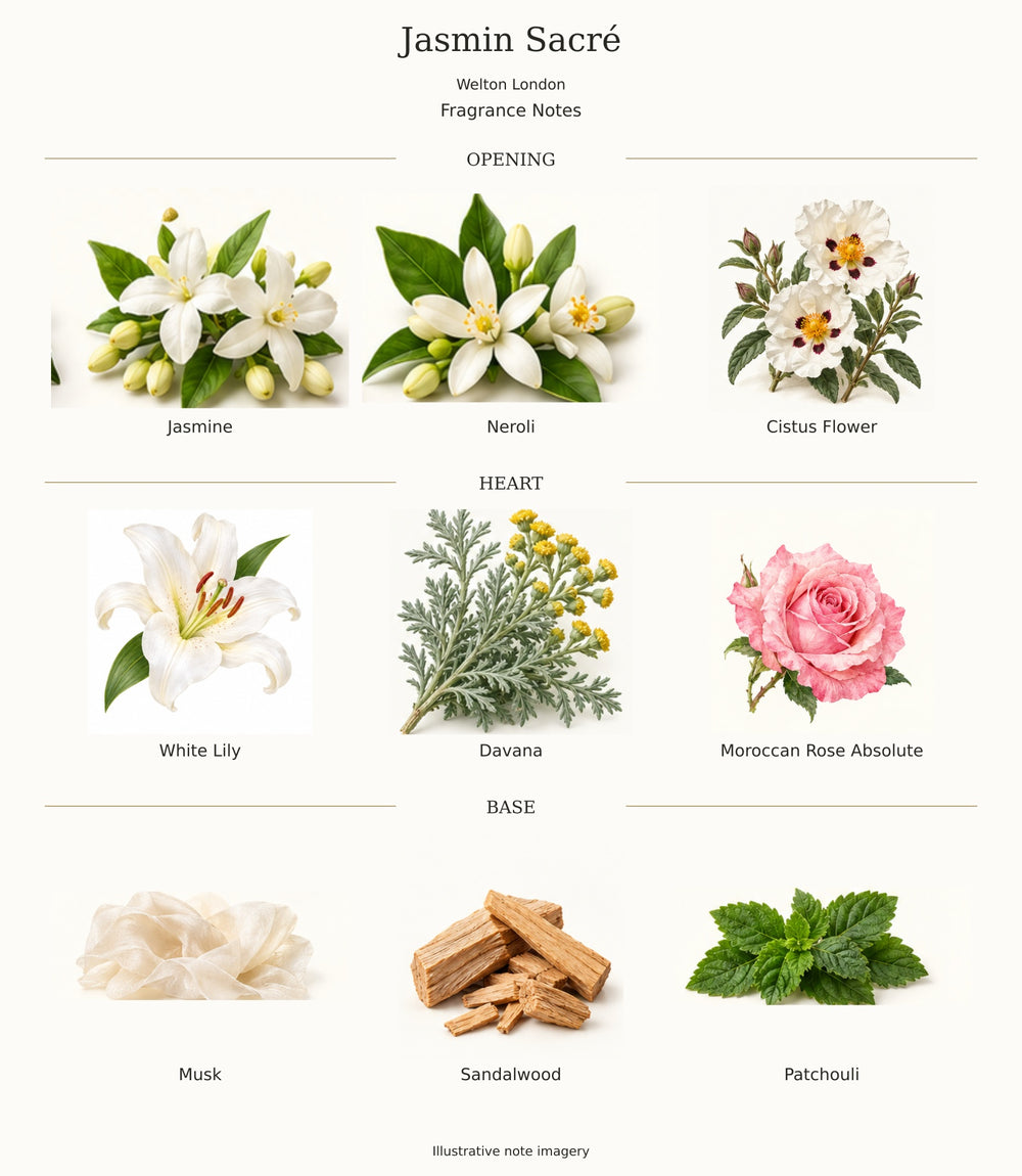 Jasmin Sacré by Welton London — complete opening, heart and base notes