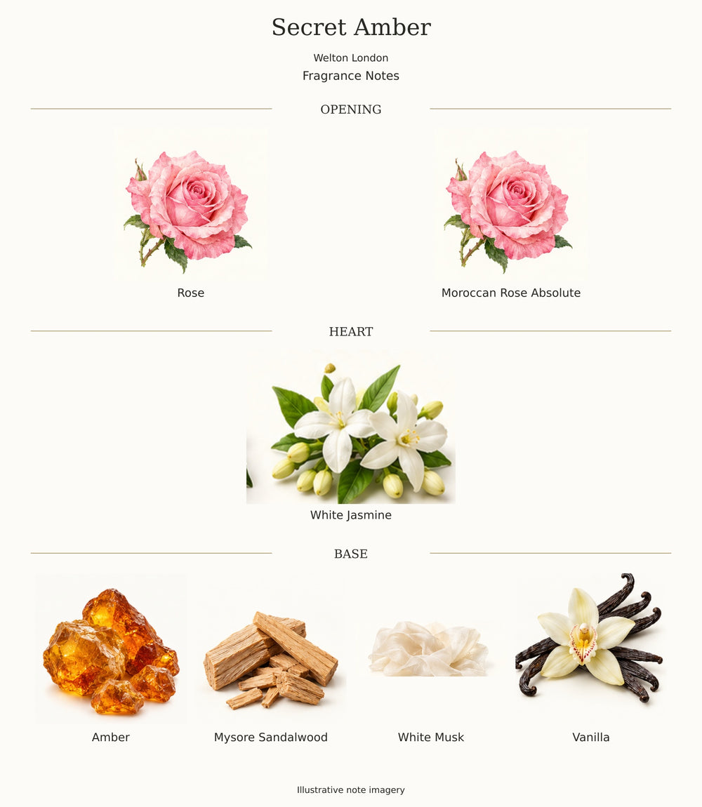 Secret Amber by Welton London — complete opening, heart and base notes