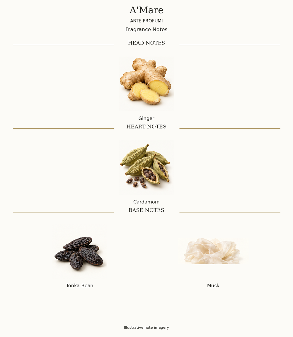 A'Mare: complete opening, heart and base fragrance notes