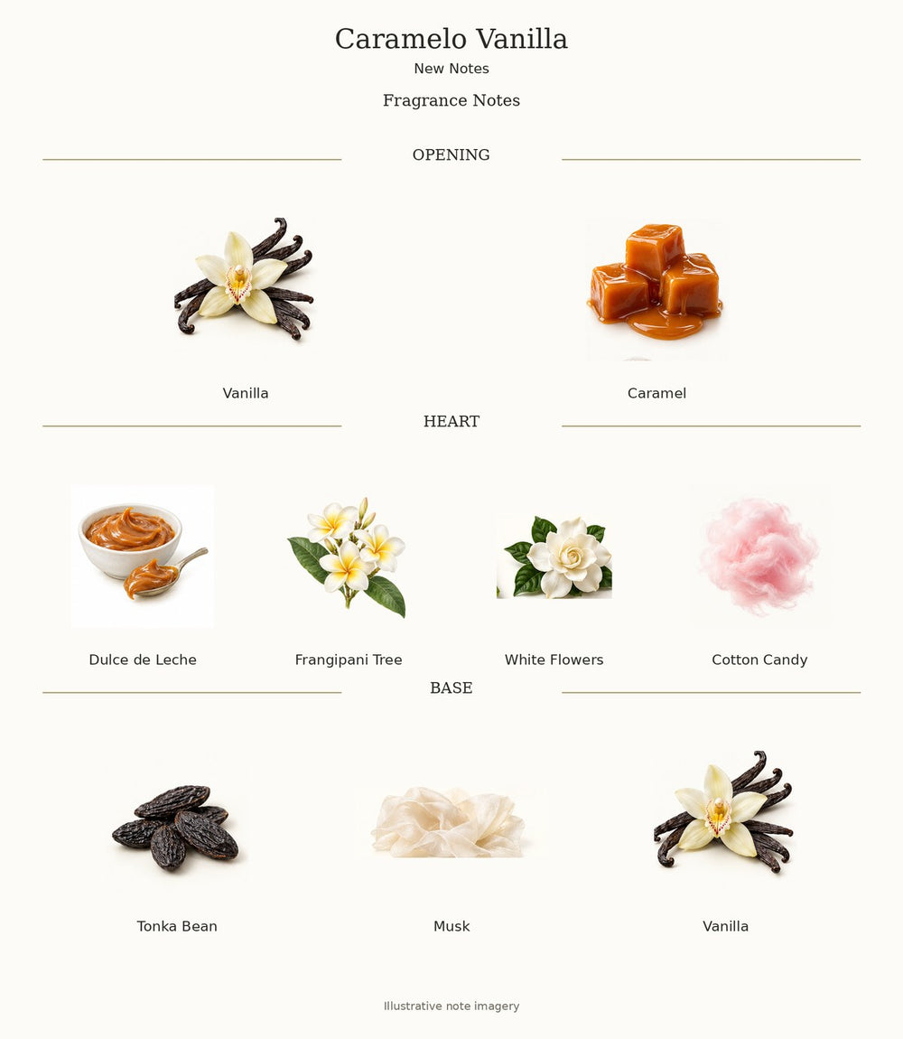 Caramelo Vanilla fragrance notes