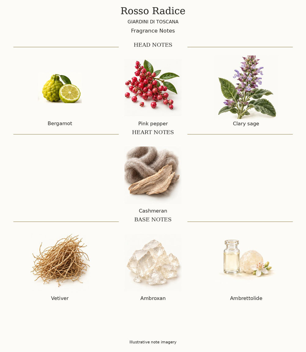 Complete fragrance note pyramid for Rosso Radice by Giardini di Toscana