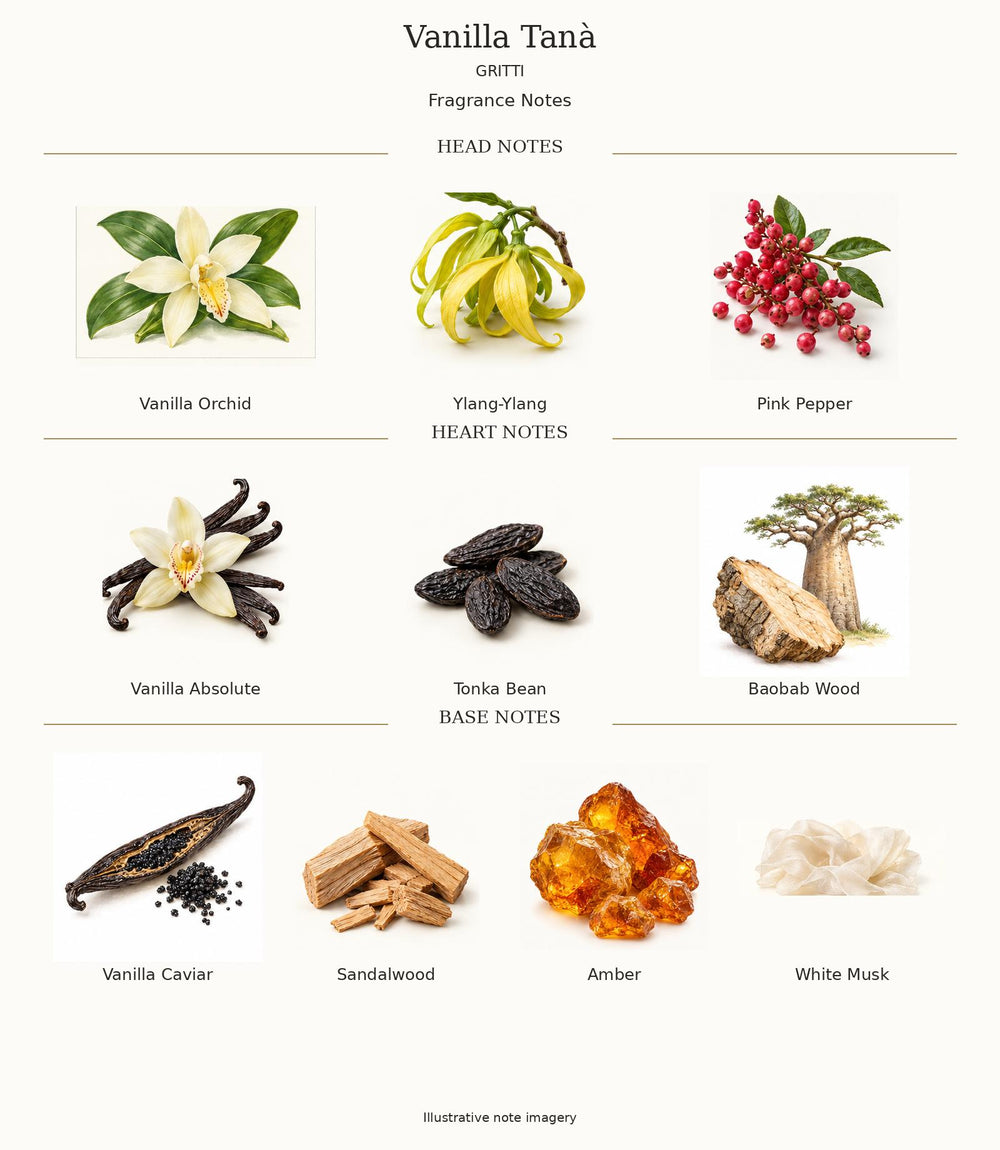 Vanilla Tanà by Gritti complete illustrated fragrance notes