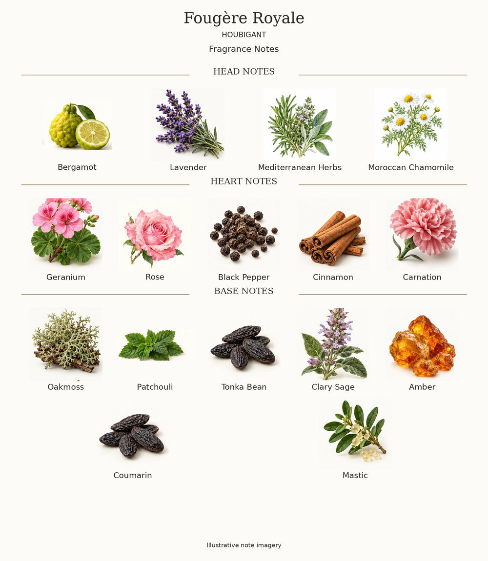 Fougère Royale by Houbigant complete illustrated fragrance notes