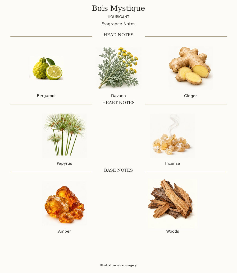 Bois Mystique by Houbigant complete illustrated fragrance notes