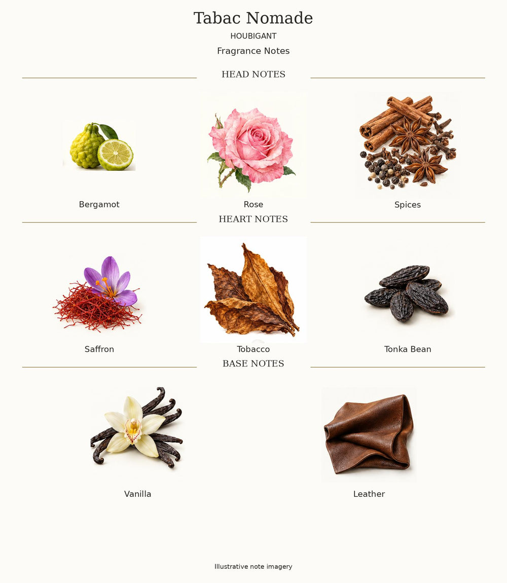 Tabac Nomade by Houbigant complete illustrated fragrance notes