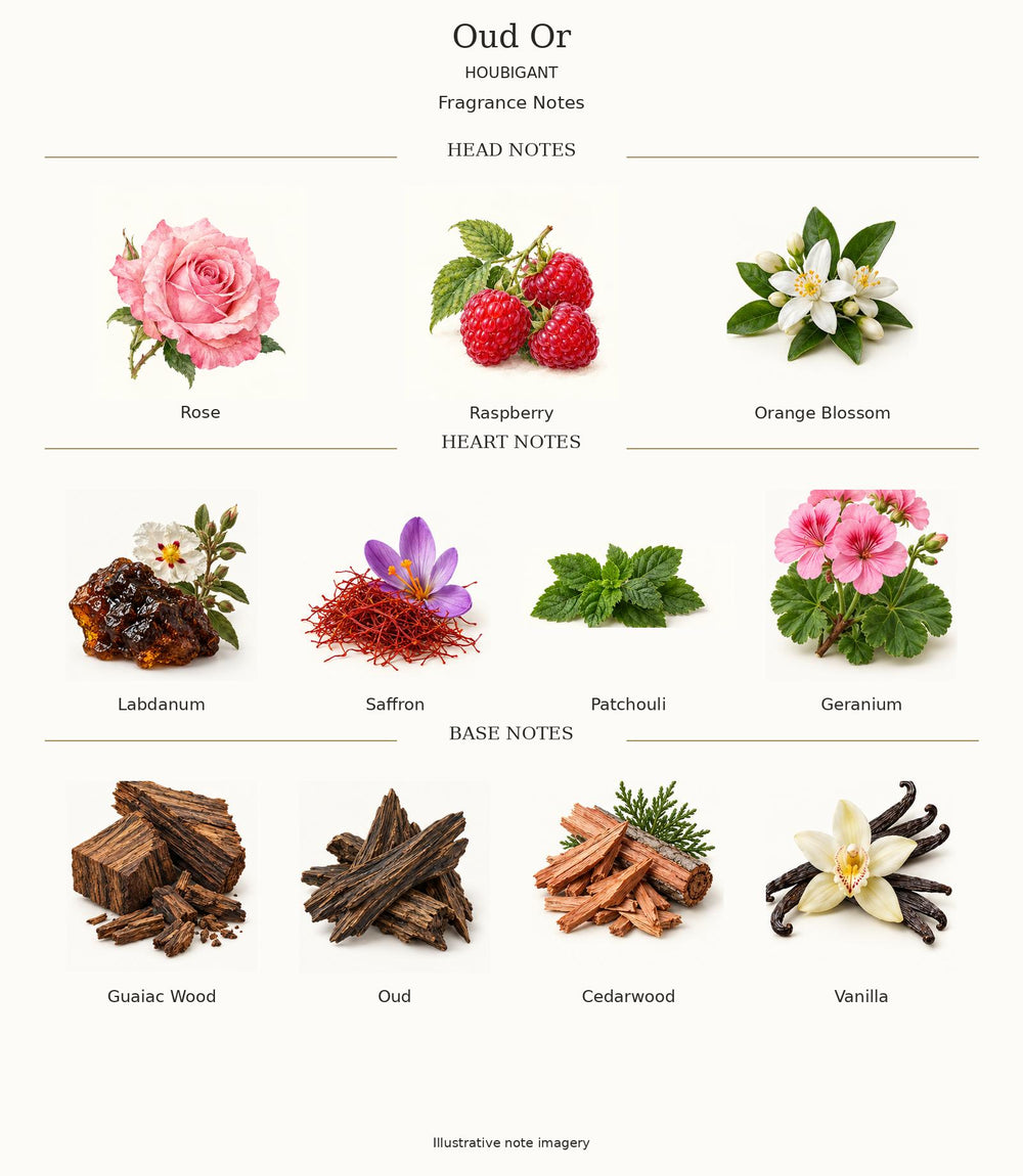 Oud Or by Houbigant complete illustrated fragrance notes