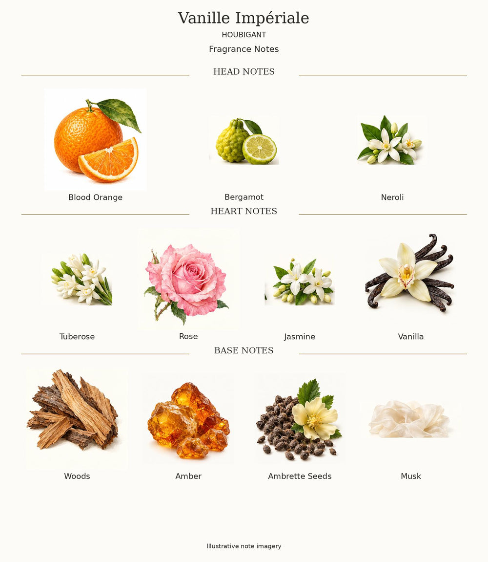 Vanille Impériale by Houbigant complete illustrated fragrance notes