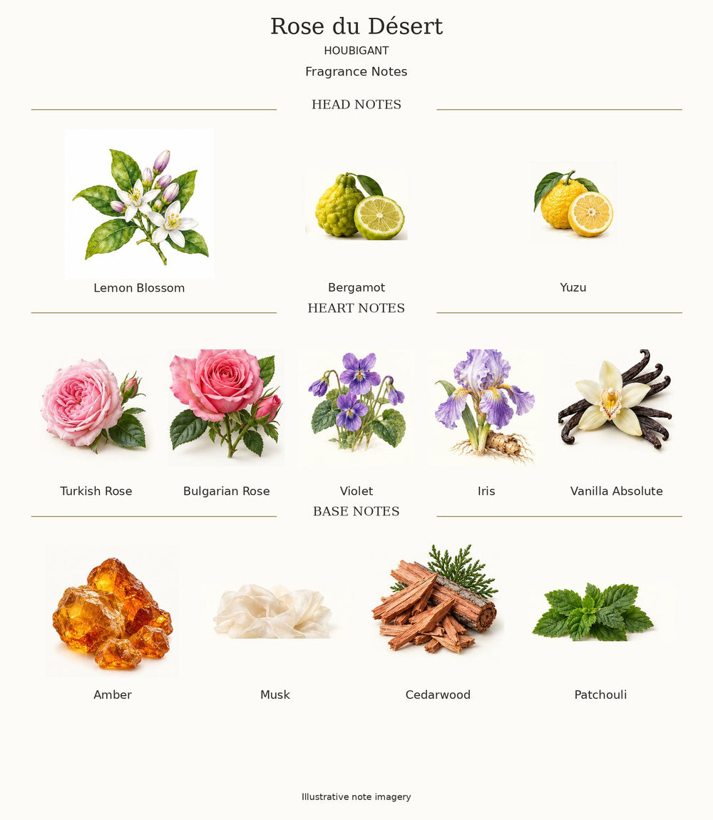 Rose du Désert by Houbigant complete illustrated fragrance notes