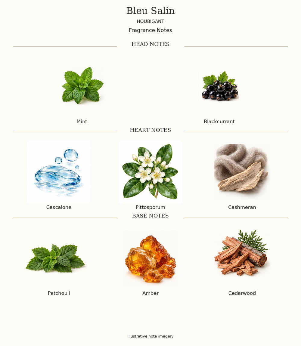 Bleu Salin by Houbigant complete illustrated fragrance notes