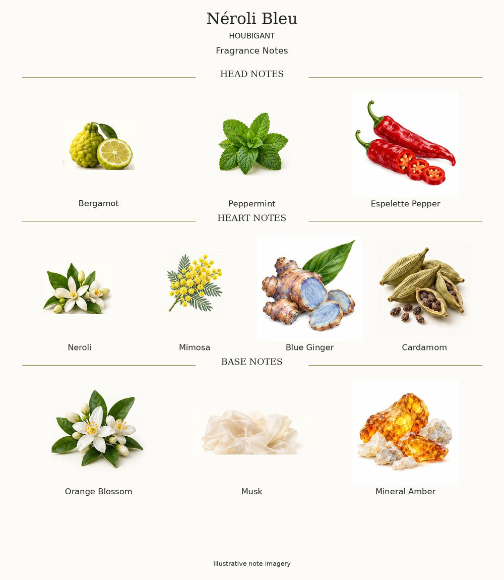 Néroli Bleu by Houbigant complete illustrated fragrance notes