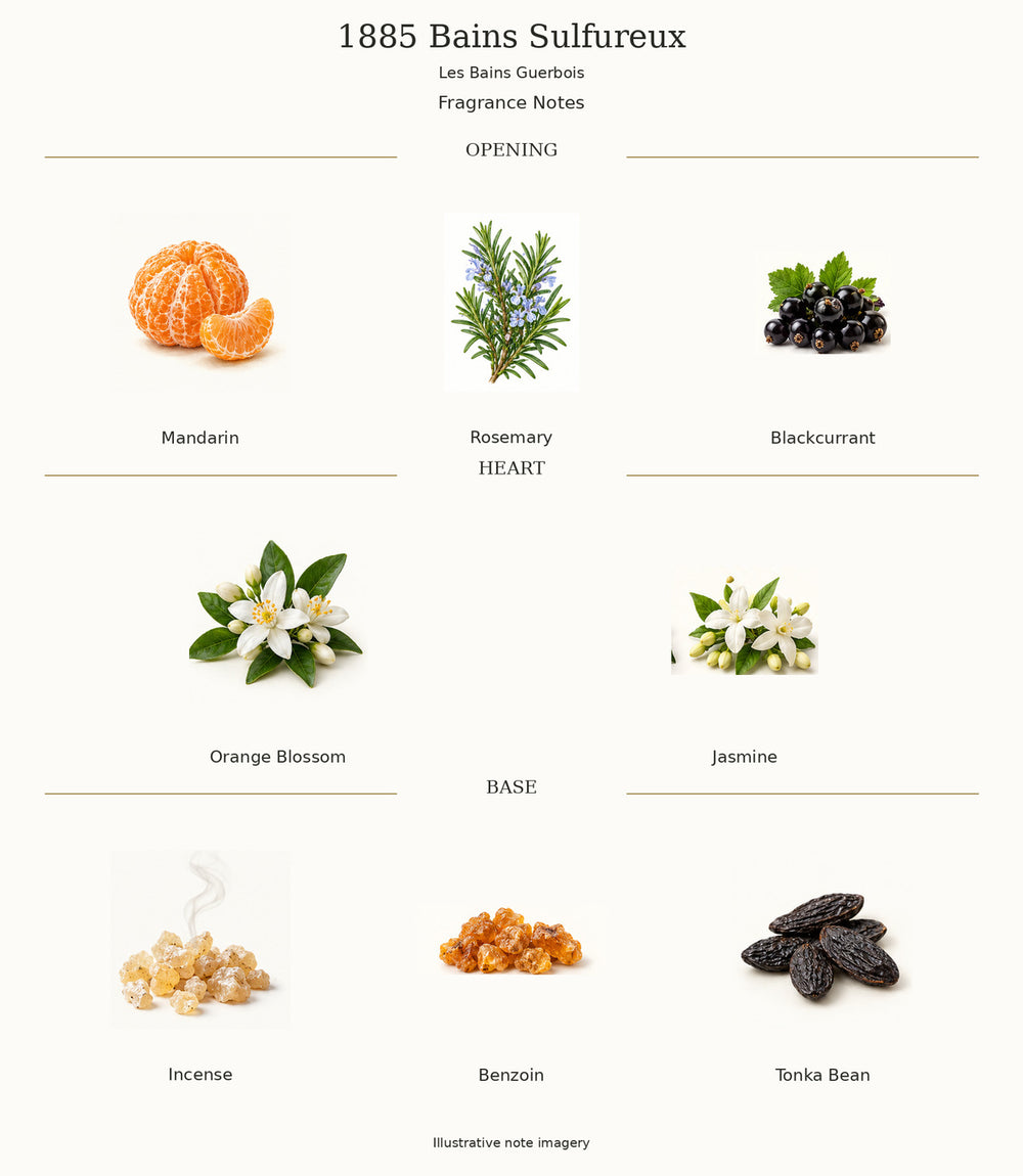 1885 Bains Sulfureux by Les Bains Guerbois — illustrated fragrance notes: opening, heart and base.