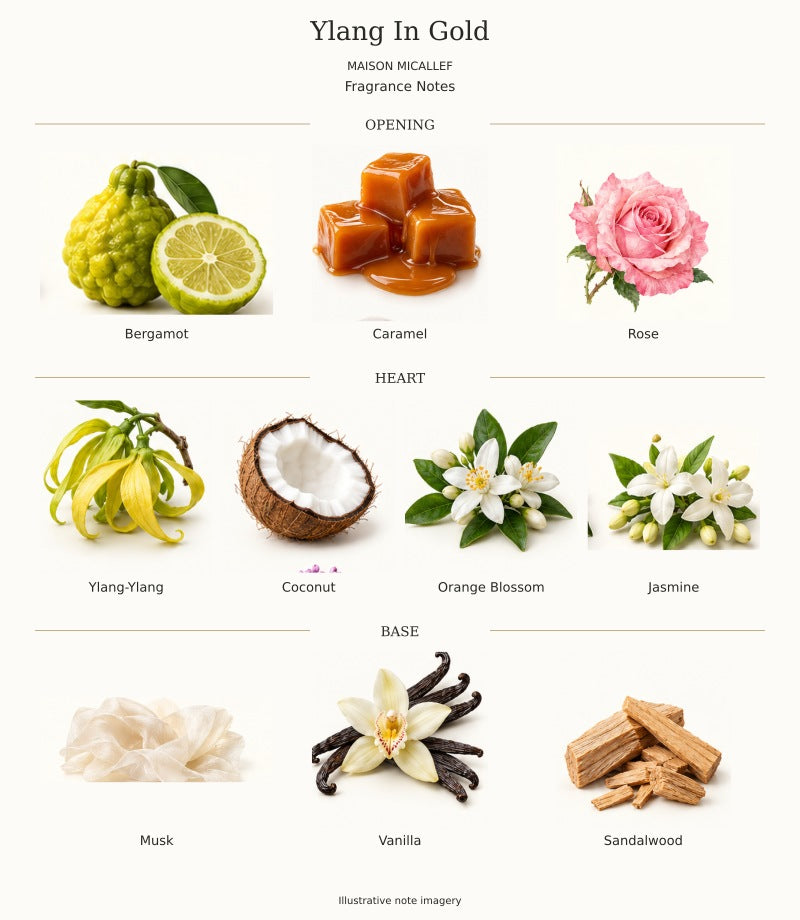 Maison Micallef Ylang In Gold complete fragrance notes