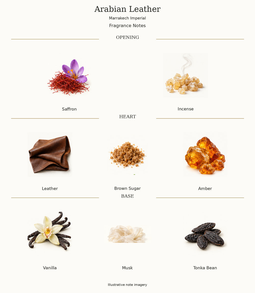 Arabian Leather by Marrakech Imperial — complete illustrated opening, heart and base fragrance notes