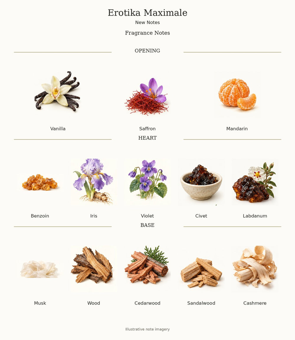 Erotika Maximale fragrance notes
