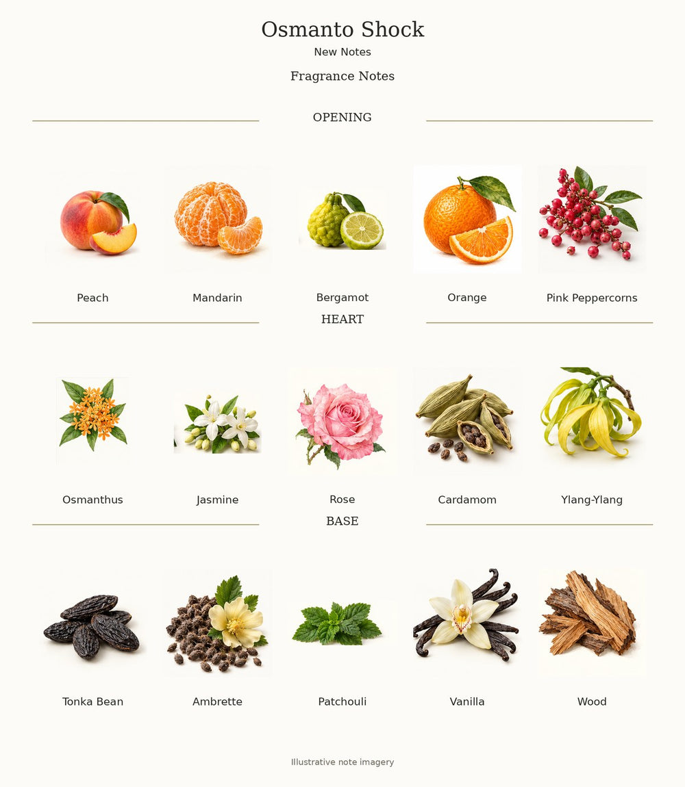 Osmanto Shock fragrance notes