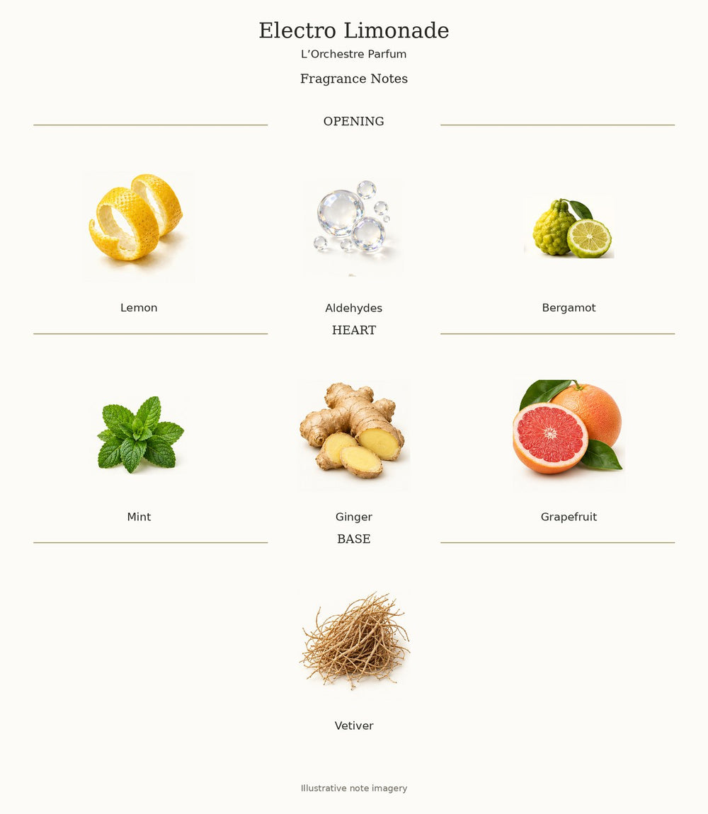 Electro Limonade fragrance notes