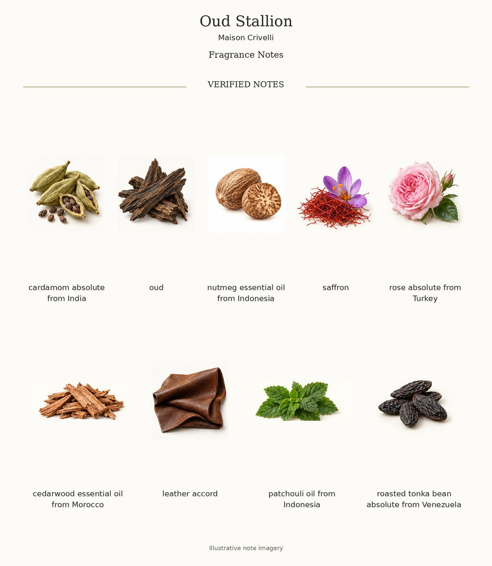 Oud Stallion fragrance notes