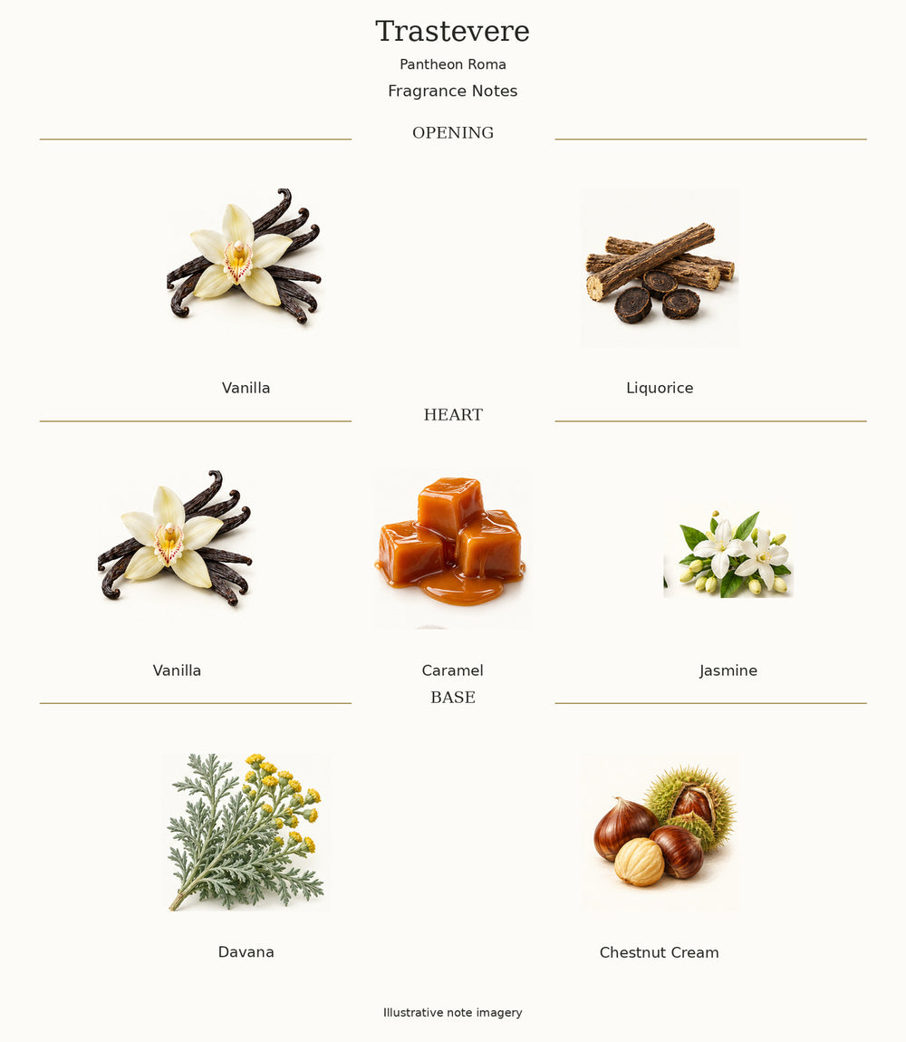 Trastevere by Pantheon Roma — illustrated fragrance notes: opening, heart and base.