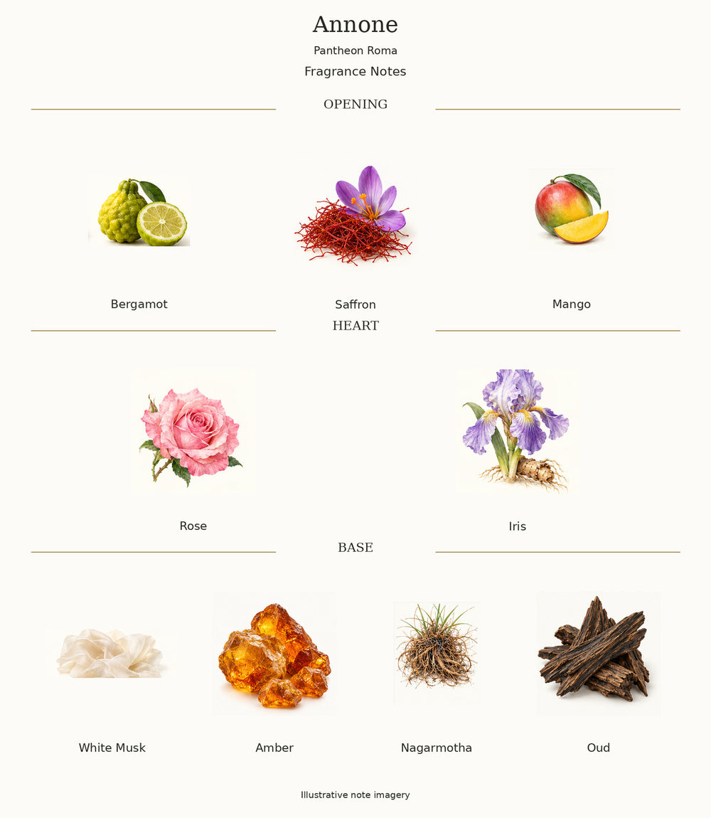 Annone by Pantheon Roma — illustrated fragrance notes: opening, heart and base.