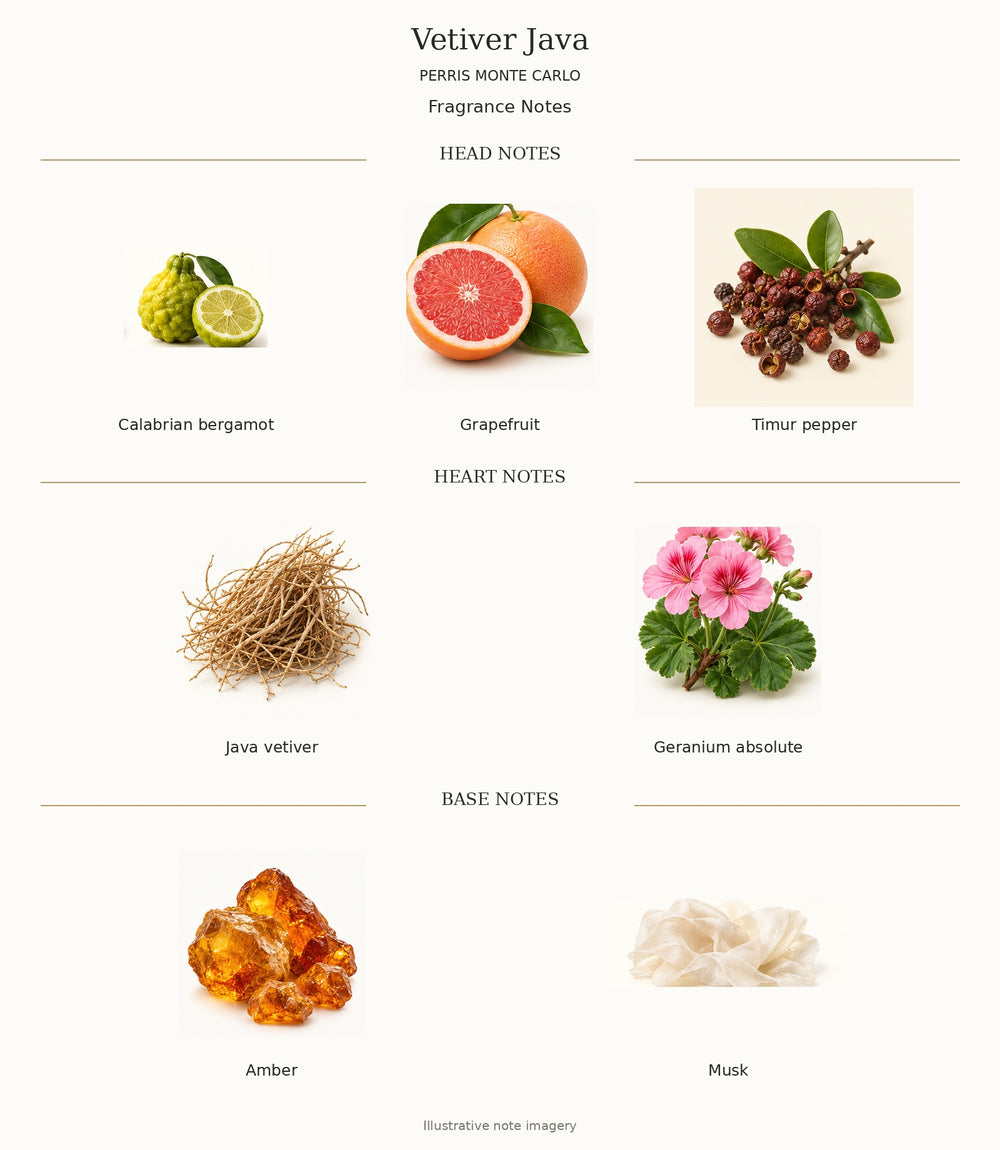 Perris Monte Carlo Vetiver Java complete head, heart and base notes — illustrative ingredient chart